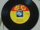 The Bleach Boys 45 Must Be Love / Wine Wine Wine 1965 Studio City Garage VG-