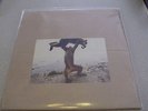 SHELLAC -  Dude Incredible - 180g LP Vinyl & CD /// New /// Steve Albini