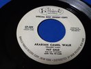 PAT GALO -  Arabian camel walk  - CP PARKER 7