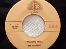 CADILLACS 45 Wishing well / I want to know about love JOSIE M- Doowop Kz245