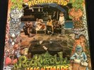 Rich Kids On LSD 'Rock n Roll Nightmare' LP-used-1987-w/comic book-Alchemy-RKL