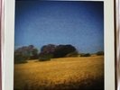 Sun Kil Moon 