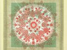 TRAMPLED BY TURTLES - Life Is Good On The Open Road - Vinyl (LP)
