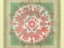 TRAMPLED BY TURTLES - Life Is Good On The Open Road - Vinyl (LP)