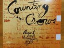 Counting Crows - August And Everything After [Vinyl]