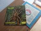 THE WEB THERAPHOSA BLONDI LP 1969 MINT UK 1ST DERAM PRESS
