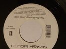 Smash Mouth All Star / Then the Morning comes 45 RPM Record
