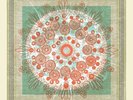 Trampled By Turtles - Life Is Good On The Open Road VINYL LP NEW (4TH MAY)
