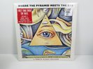 Where Pyramid Meets Eye Tribute Roky Erickson RSD 2017 ZZ Top Surfers T-Bone REM