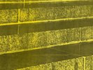 Steps (3) / Step By Step