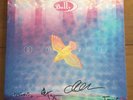 Belly - Dove 12