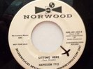 NAPOLEON TYCE & GRP 45 Sitting here / Paper doll NORWOOD DJ M- Doowop Kz277