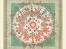 Trampled By Turtles - Life Is Good On The Open Road [LP] 2018 vinyl