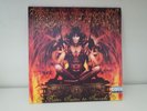 Cradle Of Filth ?– Bitter Suites To Succubi-  lp -
