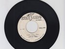 COXSONE/ TIME WILL TELL(HYPOCRITE) - HEPTONES (74 REGGAE ROCKERS 7