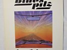 1 LP  BLUES PILZ   Journey To Somewhere   1982