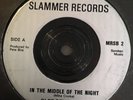Sledgehammer - In The Middle Of The Night - Private Uk Nwobhm 7”
