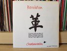 Chumbawamba – Revolution, 1985 7