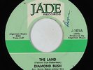 Deep Soul 45 - Diamond Bush - The Land - Jade - mp3