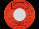Modern Soul 45 - Chosen Few Band - What It Takes To Live - BR - NM mp3 - rare