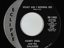 Northern Soul 45 - Harry Deal & Galaxies - What Am I Gonna Do - Eclipse VG++ mp3