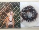 Knocked Loose Pop Culture Vinyl