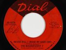Northern Soul 45 - Magnificent 7 - Never Will I (Make My Baby Cry) - Dial - mp3
