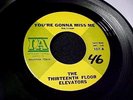 THIRTEENTH FLOOR ELEVATORS Your Gonna Miss Me GARAGE PSYCH 45 Original IA Hear