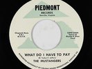 Northern Soul 45 - Mustangers - What Do I Have To Pay - Piedmont - VG++ mp3