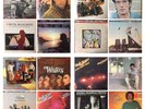 ROCK & ROLL Music Albums 33rpm LP 12