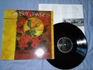 COWBOY JUNKIES  black eyed man   1992 -  RARE FIRST  GERMANY PRESS -RCA- MINT