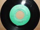 WILLIE LEE (TEE) Man That I Am SWEET THING New Orleans Soul Funk 45 on GATUR 511