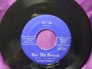 Rare Florida Rockabilly  THE Continders  Florida Blue Sky Label  Yes I do