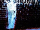 Pig Destroyer - Book Burner