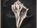 ROBERT PLANT - LULLABY & THE CEASELESS ROAR (BONUS CD) (180GM) NEW VINYL