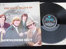 The rock sect's in - Downliners Sect  LP -  1966