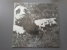 LP / PINK FLOYD / THE BEST TOUR 72 / LIVE UK