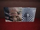 KIN PING MEH No.2 LP 1972 GERMAN ZEBRA 1st Press + INNER  MINT   KRAUTROCK