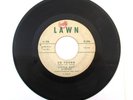 LITTLE GUY AND THE GIANTS SO YOUNG/ IT'S YOU 45 LAWN 103 GARAGE SOUL DOOWOP