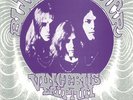 BLUE CHEER - Vincebus Eruptum (reissue) (mono) - Vinyl (LP)