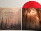 If These Trees Could Talk: Red Forest Translucent Red w/ White Haze Vinyl LP