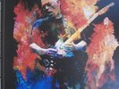 DAVID GILMOUR 2017 PINK FLOYD LIVE AT POMPEII limited Lithograph poster no.486