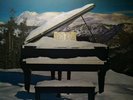 SUPERTRAMP  EVEN IN THE QUIETEST MOMENTS 1977 VINYL CLASSIC ROCK NEVER PLAYED 