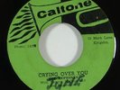 Heptones 