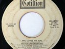VELVET UNDERGROUND 45 Who Loves the Sun mono/stereo COTILLION rock PROMO ak104