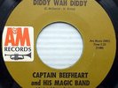 CAPTAIN BEEFHEART orig. A&M DIDDY WAH DIDDY WHO DO YOU THINK YOU'RE FOOLING ak12