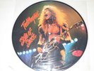 Ted Nugent - State of Shock 12'' Picture Disc Original LP Vinyl Record