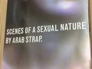 Rare ARAB STRAP Scenes Of A Sexual Nature INDIE VINYL CD PHILOPHOBIA mogwai
