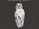 TRAMPLED BY TURTLES-PALOMINO  (US IMPORT)  VINYL LP NEW