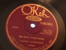 PRE WAR BLUES Mooch Richardson Okeh 8576 Big Kate Adams/Burying Ground V++